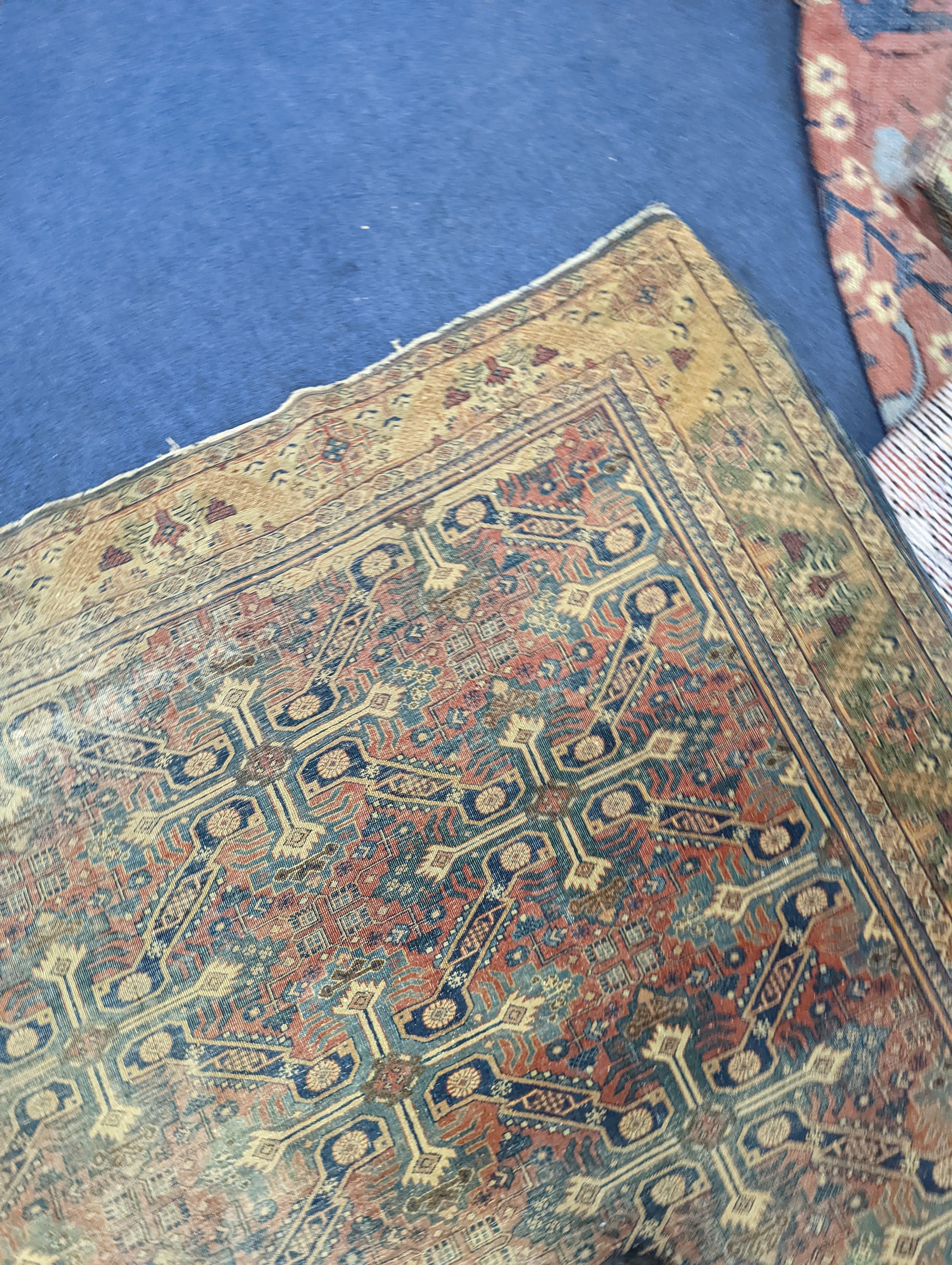 Three antique rugs, Caucasian and North West Persian, largest 230 x 154cm